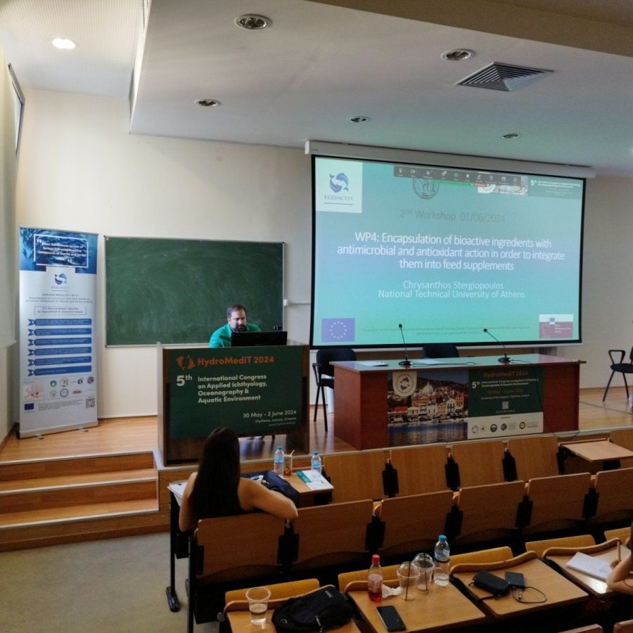 FEEDACTIV-🐟-2nd-Workshop-3